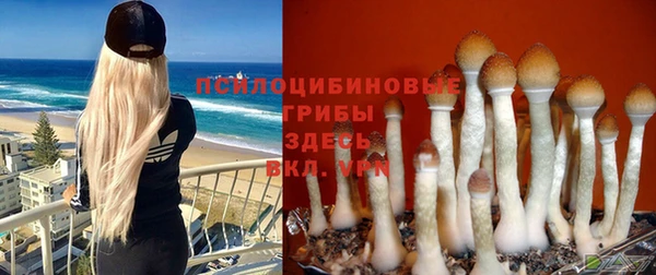 мескалин Абаза